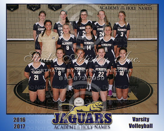 Volleyball V - MS